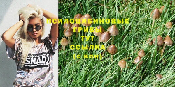 каннабис Алексин