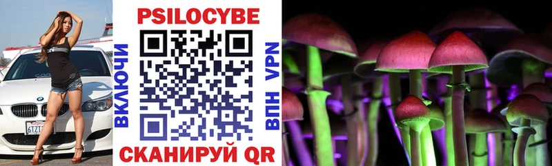 Псилоцибиновые грибы Psilocybe  MEGA онион  Уссурийск 